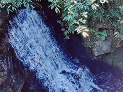 -溪口-滕头旅游景区