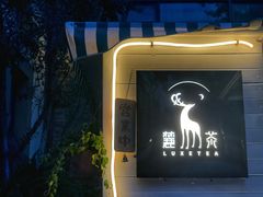 -麓茶