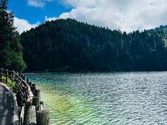 -武陵山森林公园
