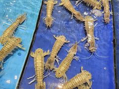 -三亚火车头万人海鲜广场