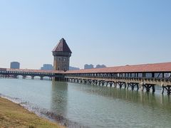 -九龙湖公园