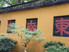 -灵隐飞来峰景区