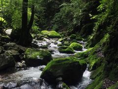 -牛背梁国家森林公园