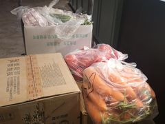 -Wagas(凤凰汇店)