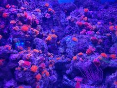 -长沙海底世界