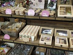 -L.C FLORA花予你(城西银泰城店)