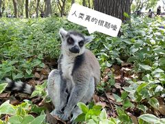 -上海野生动物园