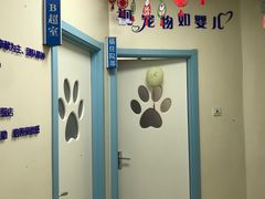 -全心全意连锁动物医院·微创中心·内科急重症·心脏专科(丰管路店)