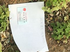 -山东大学(威海校区)