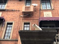 -静安别墅