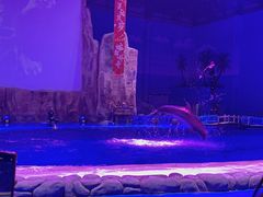 -华夏文旅西安度假区