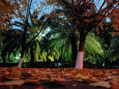 -西南民族大学南区(双流校区)