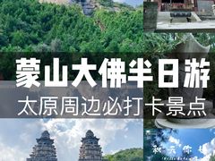 -蒙山大佛景区