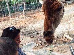 -清迈夜间动物园