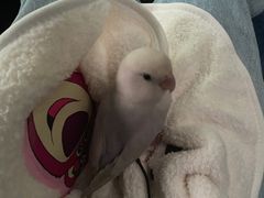 -雨林宠物医院 非犬猫异宠专科