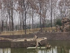 -合肥野生动物园