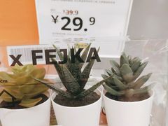 -宜家家居(哈尔滨商场店)