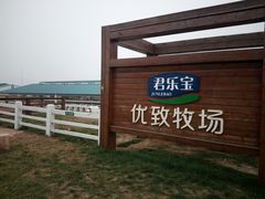 -君乐宝优致牧场