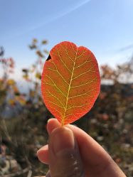 -FineYoga梵音瑜伽·普拉提