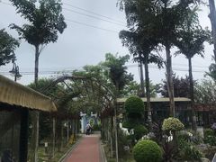 -麻小度青花椒鱼(安德总店)