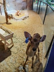 -酷嗒动物文化乐园(cutezoo西溪乐天城店)