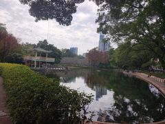 -晓港公园