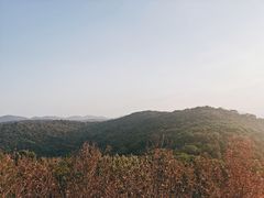 -宝界山林公园