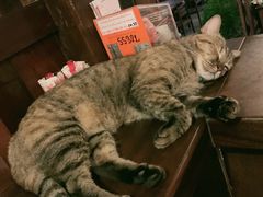 -Dash Teak House