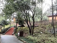 -山湖温泉