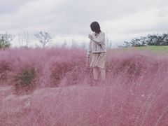 -白鹭湾湿地公园