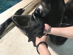 -成都浩海立方海洋公园