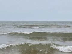 -日照海滨国家森林公园