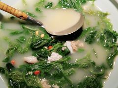 上汤桑叶苗-大榕树下顺德菜(融创茂店)