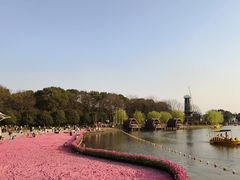 -上海鲜花港