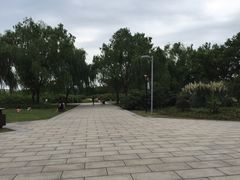 -九里河湿地公园