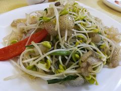 大豆芽海哲皮-新湛拱(兰埔路店)