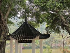-东莞市大岭山森林公园
