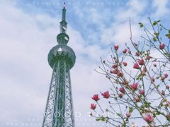 -文华公园(禅城区)