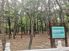 -林海公园