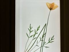 -南京中医药大学(仙林校区)