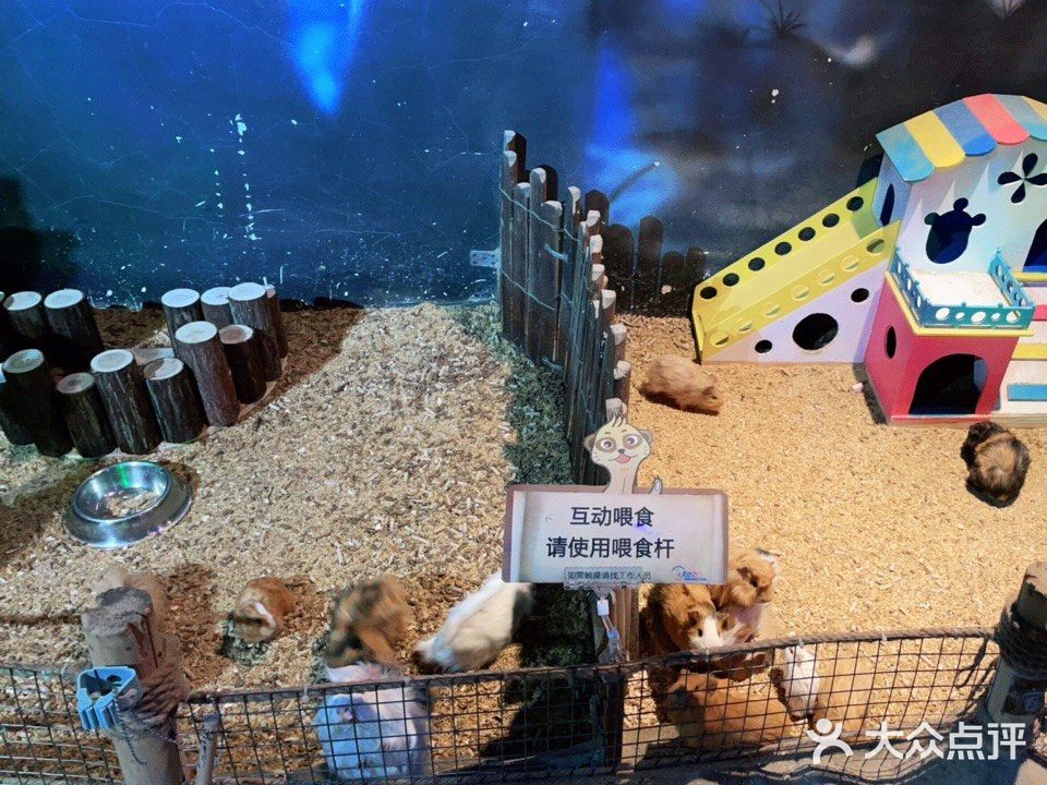 周末溜娃好去处~娃开心，你想做啥就做啥