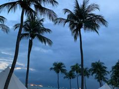 -珍宝海鲜(东海岸海鲜中心)