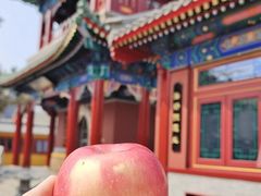-天津大悲禅院