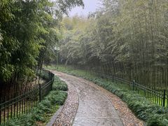 -杭州植物园