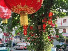 -陈有良尖椒鸡(江津总店)