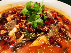 毛血旺-辛香汇·现炒川菜(淮海路百盛店)