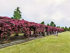 -广富林郊野公园