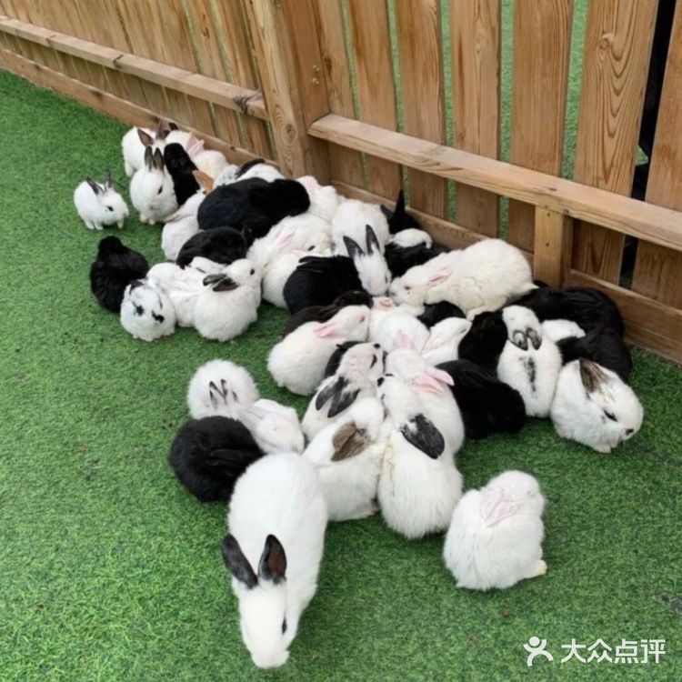 北京遛娃哪里去❓万达亲子动物园[调皮]带给娃不一样的欢乐[胜利]