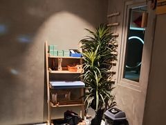 -施奈儿.洗头頭療.按摩SPA.采耳(上梅林店)