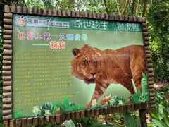 -海南热带野生动植物园